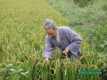 Paul Xu Guangchi agricultural revolutionary
