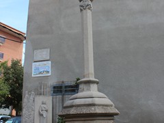 Cross of the Tort